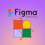 Figma Professional 1 Year